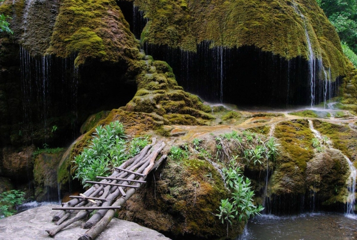Paradise Lost